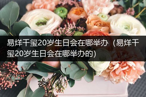 易烊千玺20岁生日会在哪举办（易烊千玺20岁生日会在哪举办的）