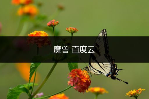魔兽 百度云