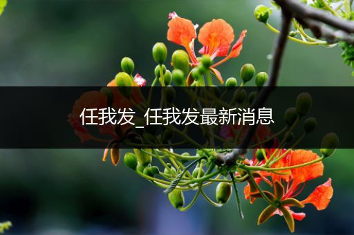 任我发_任我发最新消息