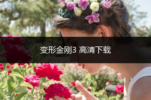 变形金刚3 高清下载