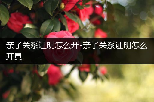 亲子关系证明怎么开-亲子关系证明怎么开具