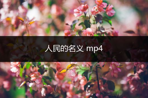 人民的名义 mp4