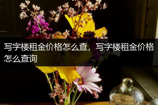 写字楼租金价格怎么查，写字楼租金价格怎么查询