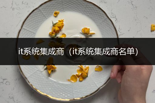 it系统集成商（it系统集成商名单）