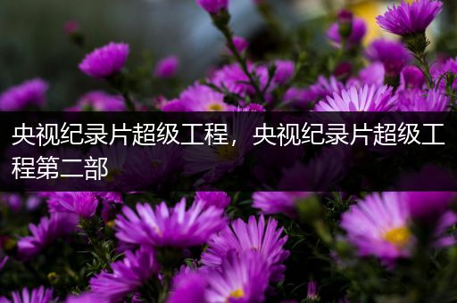 央视纪录片超级工程，央视纪录片超级工程第二部