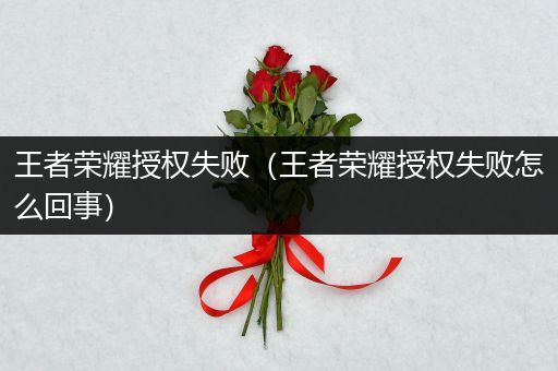 王者荣耀授权失败（王者荣耀授权失败怎么回事）