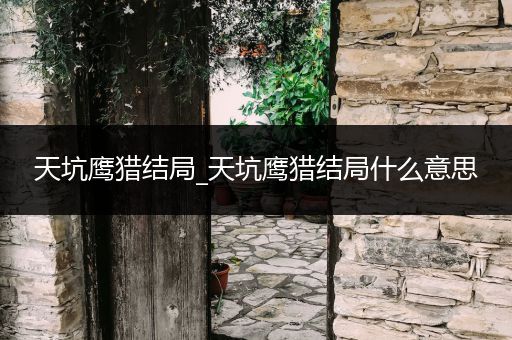 天坑鹰猎结局_天坑鹰猎结局什么意思