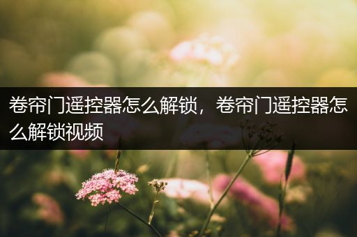 卷帘门遥控器怎么解锁，卷帘门遥控器怎么解锁视频