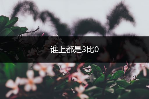 谁上都是3比0