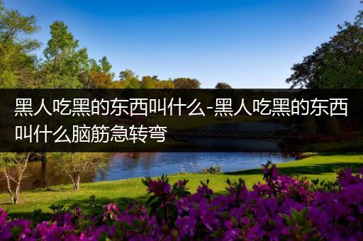 黑人吃黑的东西叫什么-黑人吃黑的东西叫什么脑筋急转弯