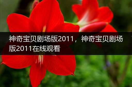 神奇宝贝剧场版2011，神奇宝贝剧场版2011在线观看