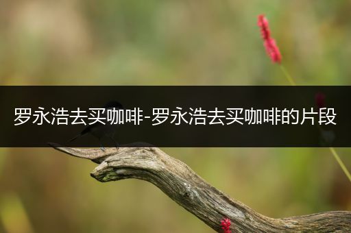 罗永浩去买咖啡-罗永浩去买咖啡的片段