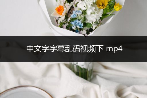 中文字字幕乱码视频下 mp4