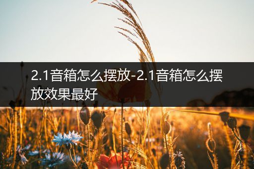 2.1音箱怎么摆放-2.1音箱怎么摆放效果最好
