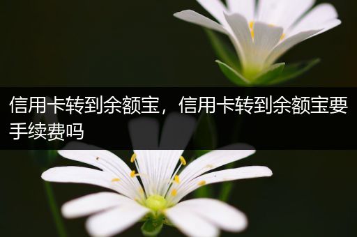 信用卡转到余额宝，信用卡转到余额宝要手续费吗