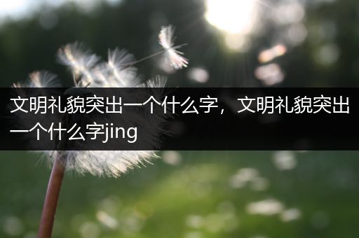 文明礼貌突出一个什么字，文明礼貌突出一个什么字jing