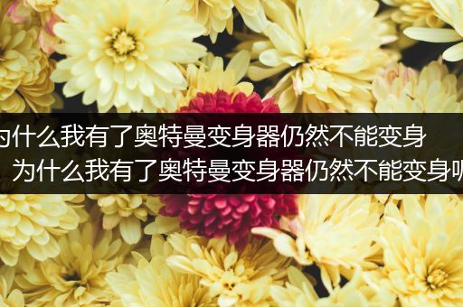 为什么我有了奥特曼变身器仍然不能变身，为什么我有了奥特曼变身器仍然不能变身呢