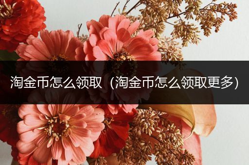 淘金币怎么领取（淘金币怎么领取更多）