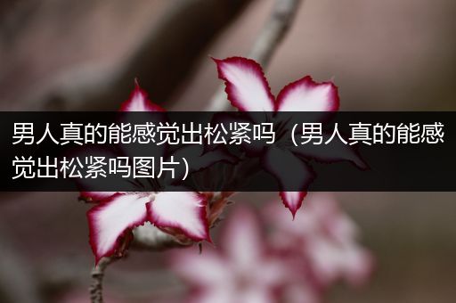 男人真的能感觉出松紧吗（男人真的能感觉出松紧吗图片）