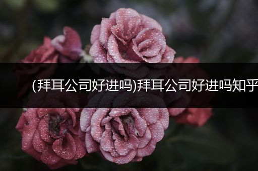 （拜耳公司好进吗)拜耳公司好进吗知乎