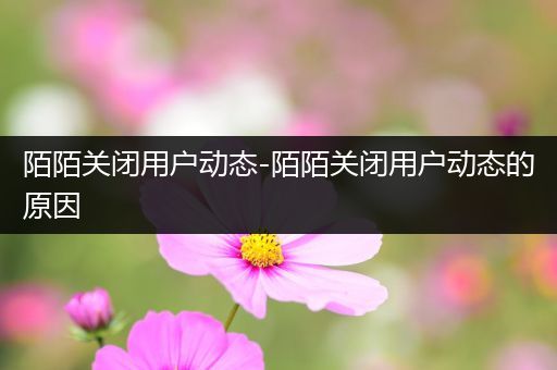 陌陌关闭用户动态-陌陌关闭用户动态的原因