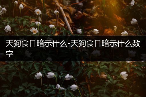 天狗食日暗示什么-天狗食日暗示什么数字