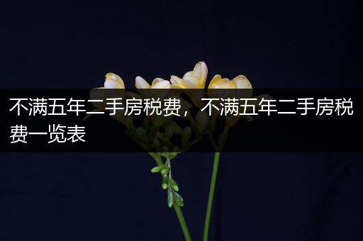 不满五年二手房税费，不满五年二手房税费一览表
