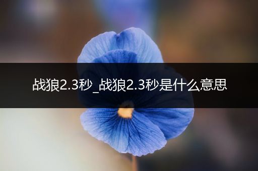 战狼2.3秒_战狼2.3秒是什么意思