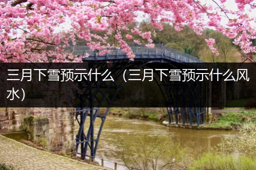 三月下雪预示什么（三月下雪预示什么风水）