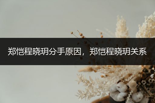 郑恺程晓玥分手原因，郑恺程晓玥关系