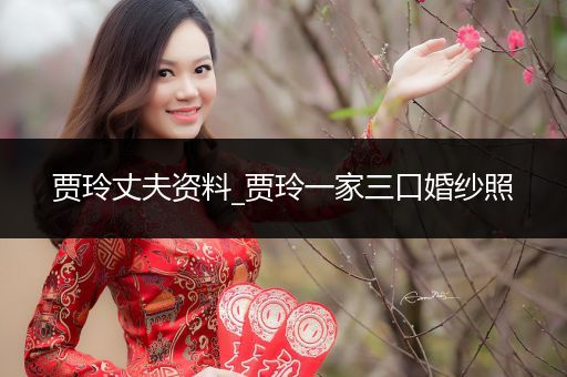 贾玲丈夫资料_贾玲一家三口婚纱照