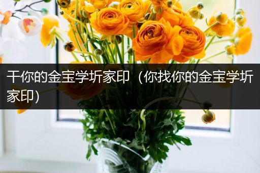 干你的金宝学圻家印（你找你的金宝学圻家印）