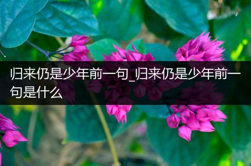 归来仍是少年前一句_归来仍是少年前一句是什么