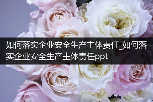 如何落实企业安全生产主体责任_如何落实企业安全生产主体责任ppt