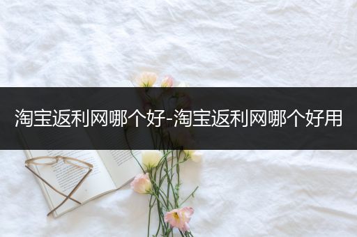 淘宝返利网哪个好-淘宝返利网哪个好用