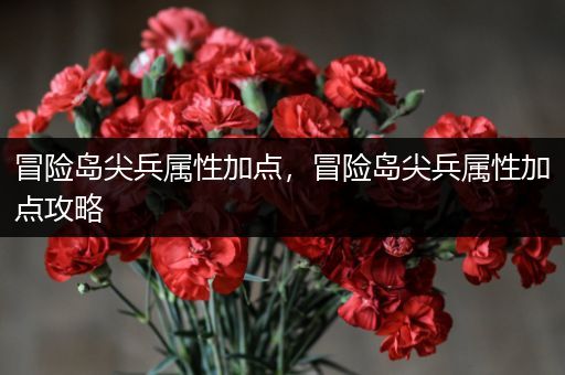 冒险岛尖兵属性加点，冒险岛尖兵属性加点攻略