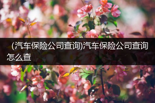 （汽车保险公司查询)汽车保险公司查询怎么查