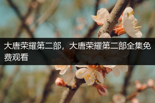 大唐荣耀第二部，大唐荣耀第二部全集免费观看