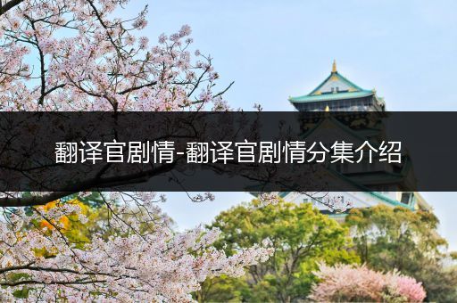 翻译官剧情-翻译官剧情分集介绍