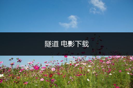 隧道 电影下载