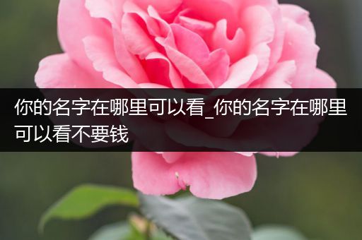 你的名字在哪里可以看_你的名字在哪里可以看不要钱