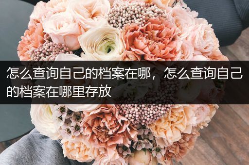 怎么查询自己的档案在哪，怎么查询自己的档案在哪里存放