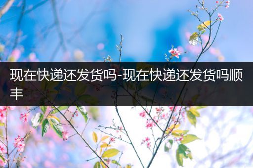 现在快递还发货吗-现在快递还发货吗顺丰