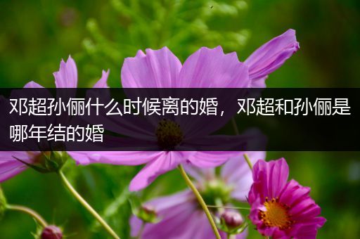 邓超孙俪什么时候离的婚，邓超和孙俪是哪年结的婚