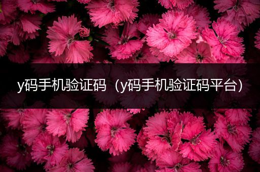 y码手机验证码（y码手机验证码平台）