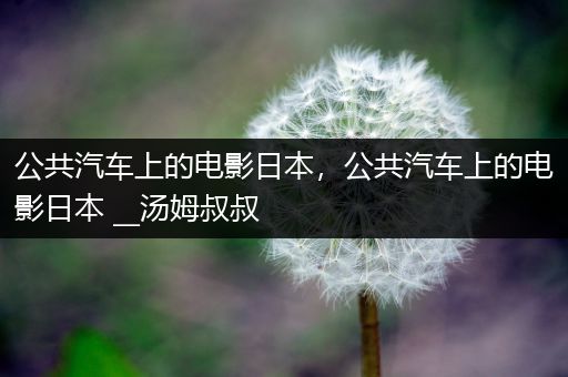 公共汽车上的电影日本，公共汽车上的电影日本 __汤姆叔叔