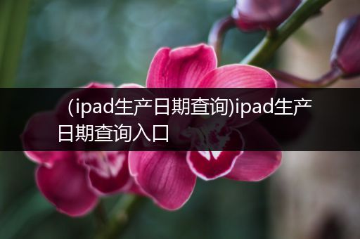 （ipad生产日期查询)ipad生产日期查询入口