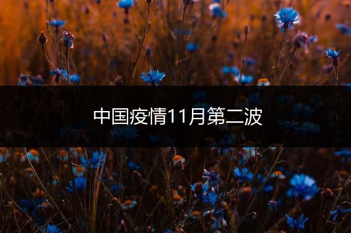 中国疫情11月第二波