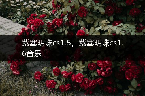 紫塞明珠cs1.5，紫塞明珠cs1.6音乐