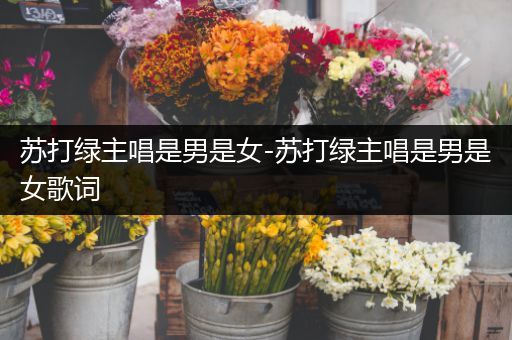 苏打绿主唱是男是女-苏打绿主唱是男是女歌词